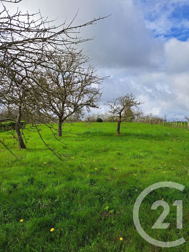 terrain à vendre - 2757.0 m2 - SENILLE ST SAUVEUR - 86 - POITOU-CHARENTES - Century 21 A.B.C.